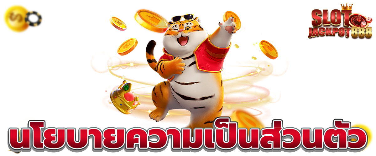 นโยบายความเป็นส่วนตัว